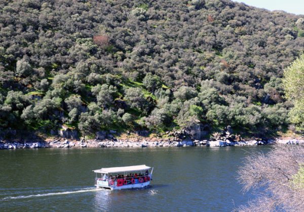 Guía de Turismo